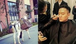 冯绍峰爆料拍戏视频,一场拍摄现场的激情碰撞