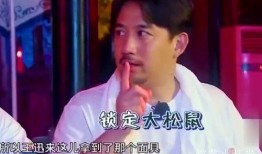迅哥最新吃瓜视频下载免费,揭秘娱乐圈幕后真相，免费下载大揭秘！