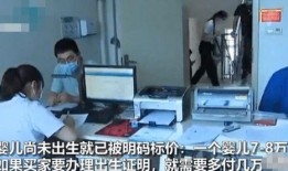 澳洲黑心中介爆料视频,揭秘非法移民产业链内幕