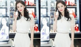 小白裙最新爆料网站,揭秘娱乐圈幕后真相