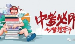 最新辽阳爆料消息视频,视频揭秘事件真相，引发社会关注