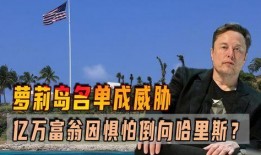 马斯克被爆料了吗视频,揭秘背后惊人真相