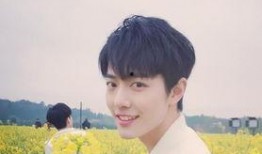 李沁和肖战最新爆料,揭秘幕后故事与情感纠葛