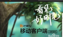 芒果卫视直播在线观看,精彩瞬间，一键尽享