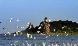 北戴河旅游爆料最新消息,最新爆料揭示热门景点与活动！