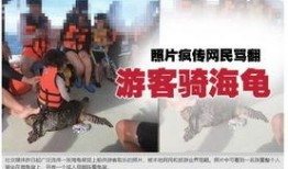 移民部长爆料新闻,揭秘移民政策背后真相