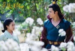 兰陵王妃在线观看,穿越时空的传奇爱情之旅