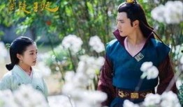 兰陵王妃在线观看,穿越时空的传奇爱情之旅