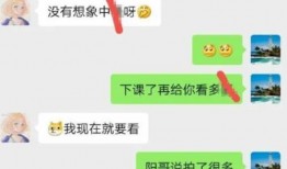 鄂州父女爆料视频网址,揭秘事件背后真相