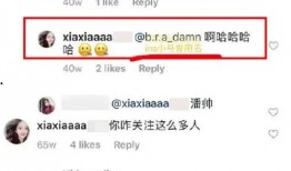 网红吃瓜事件记录最新,揭秘网络舆论背后的真相与争议