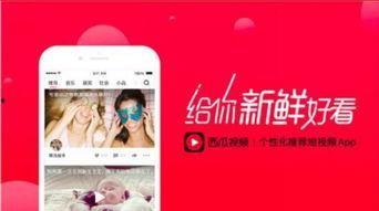 娱乐吃瓜酱视频边框图片,揭秘边框图片背后的故事